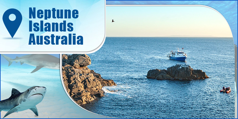 Neptune Islands-Australia
