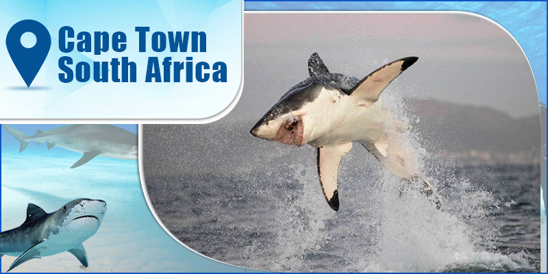 Cape Town-South Africa