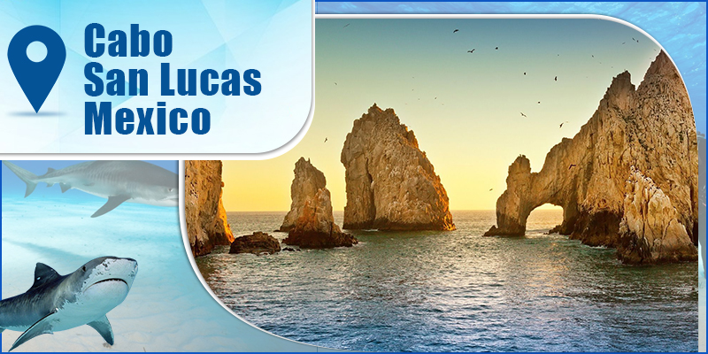Cabo San Lucas-Mexico