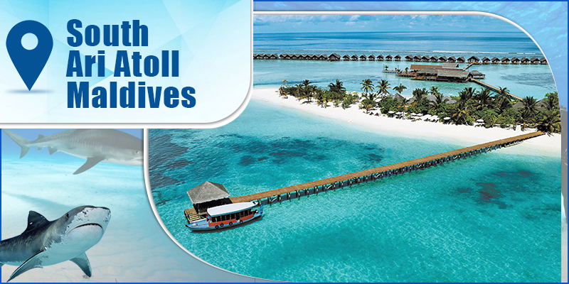 South Ari Atoll-Maldives