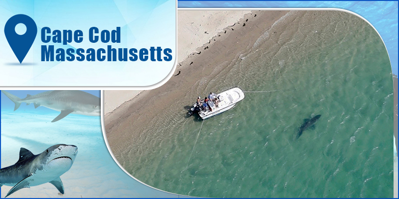 Cape Cod-Massachusetts