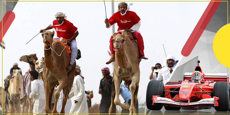 Camel Race Track