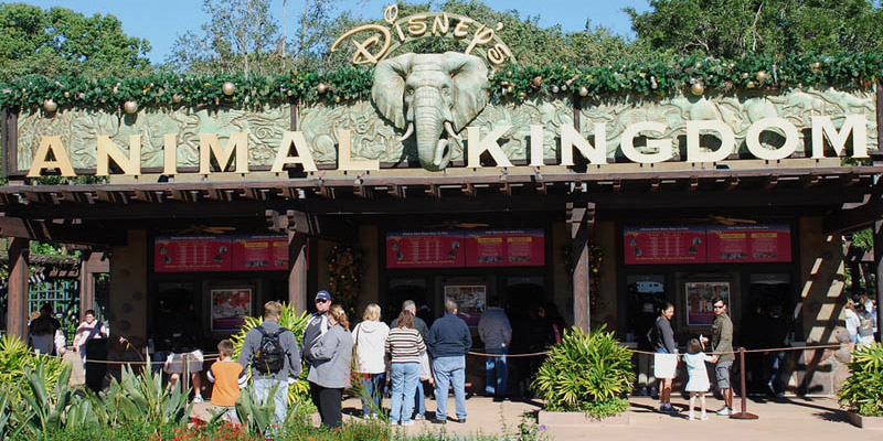 Animal Kingdom