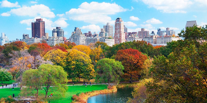 new york