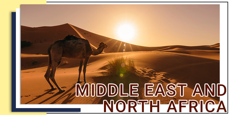 Middle East and North Africa