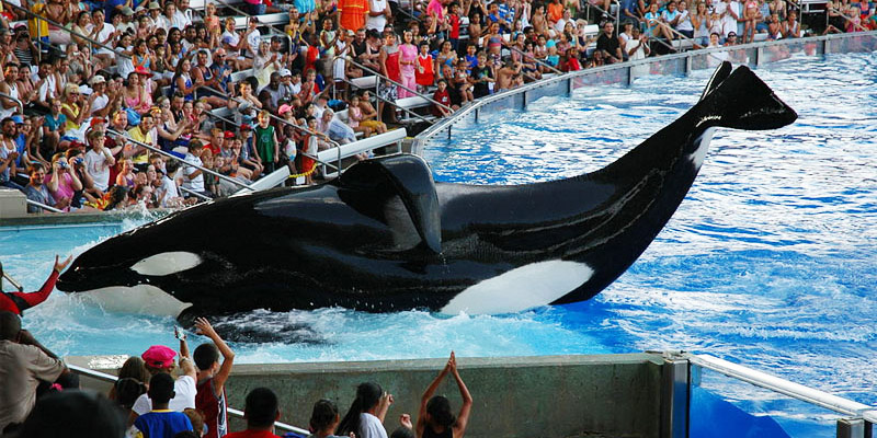Sea World Orlando
