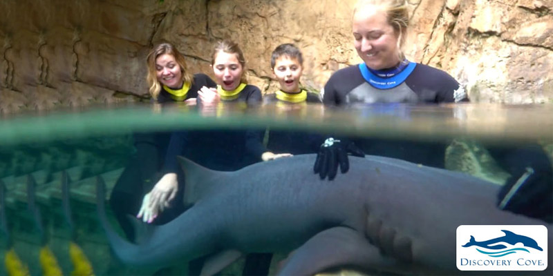 discovery cove