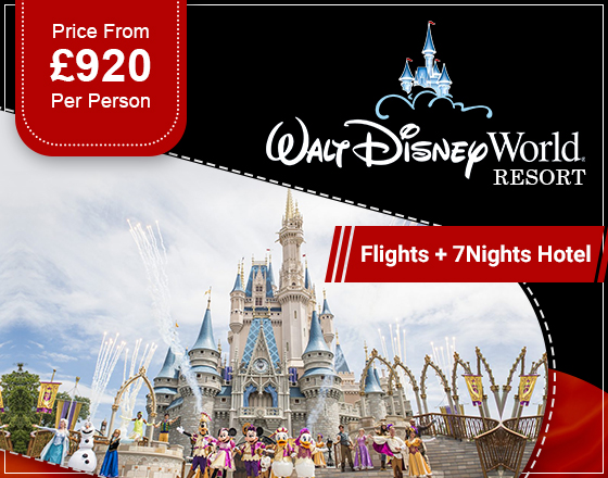 image for Disney Resort Hotel
