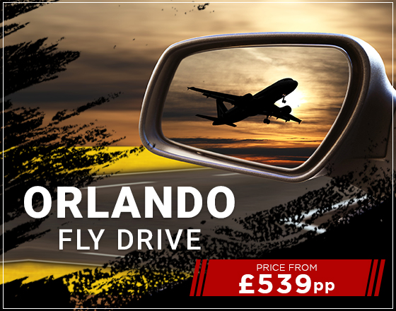 image for Fly drive