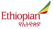 airline logo