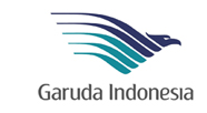 airline logo