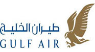 airline logo