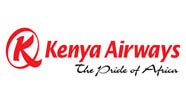 airline logo